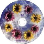 DVD Japan label