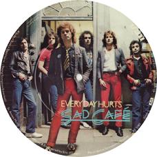 7" picture disc UK front